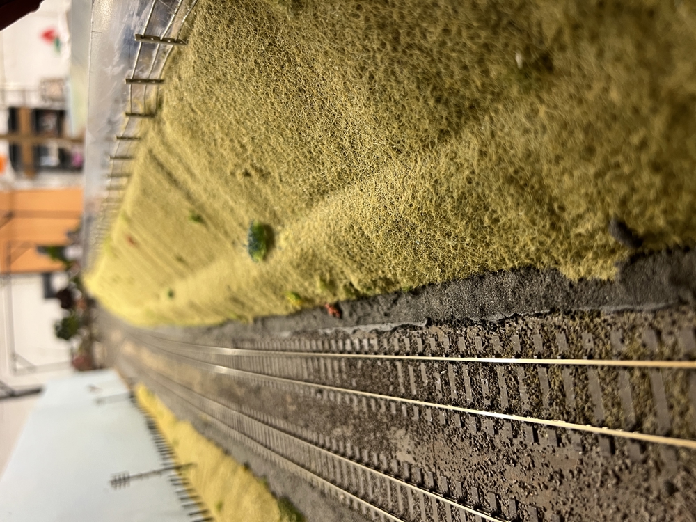 Terraforming in Yeovil!