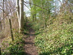 DSCF6118