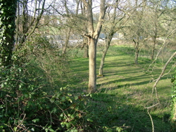 DSCF6124