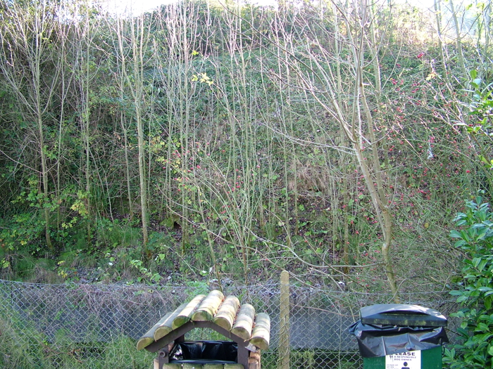 2005_1117yeoviltown0026