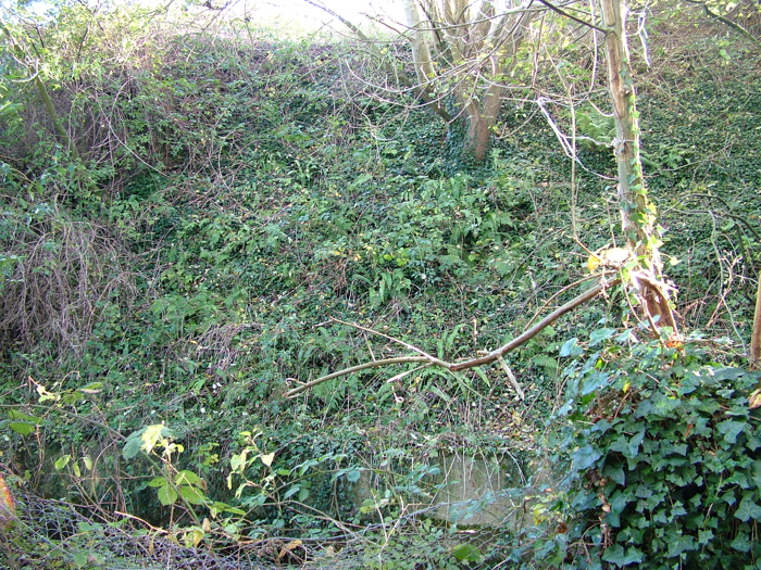 2005_1117yeoviltown0029