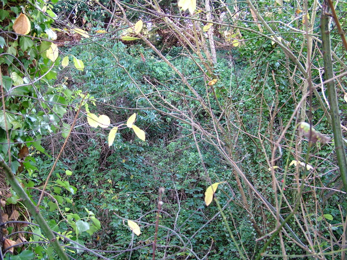 2005_1117yeoviltown0035