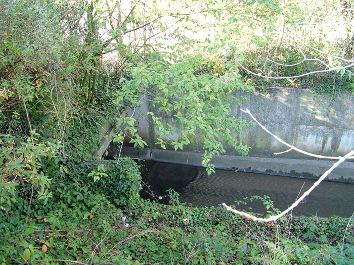 2005_1117yeoviltown0039