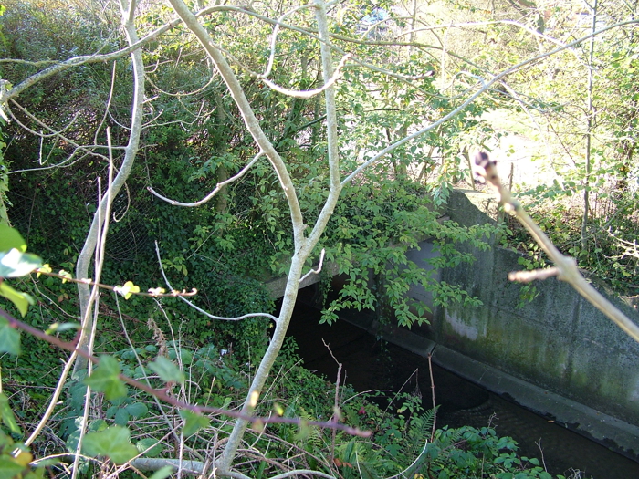 2005_1117yeoviltown0041