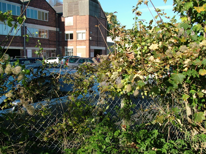 2005_1117yeoviltown0046