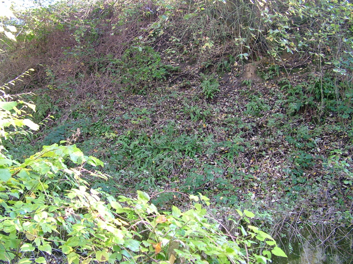 2005_1117yeoviltown0049