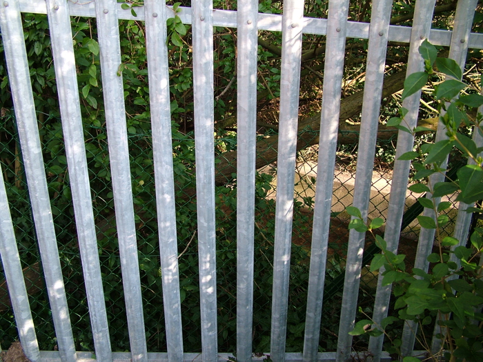 DSCF6115