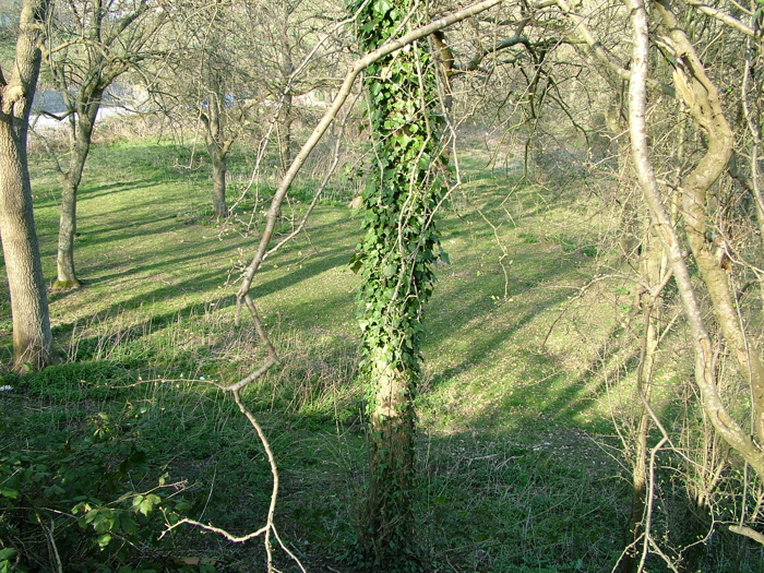 DSCF6125