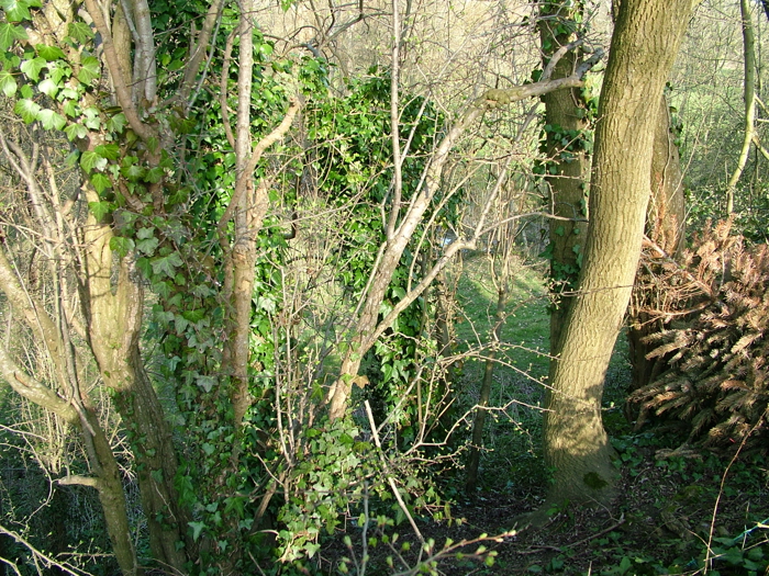 DSCF6126