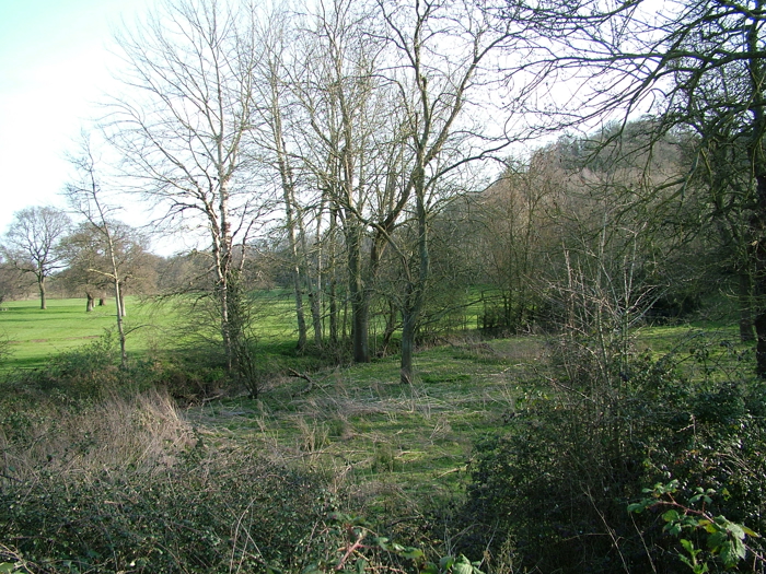 DSCF6134