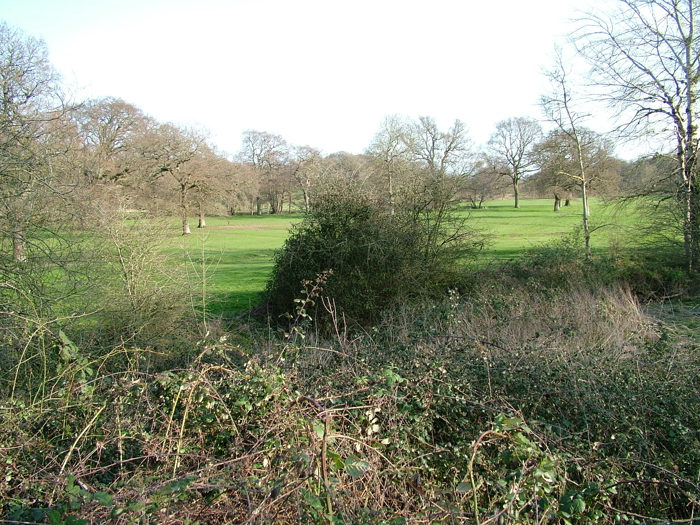 DSCF6135