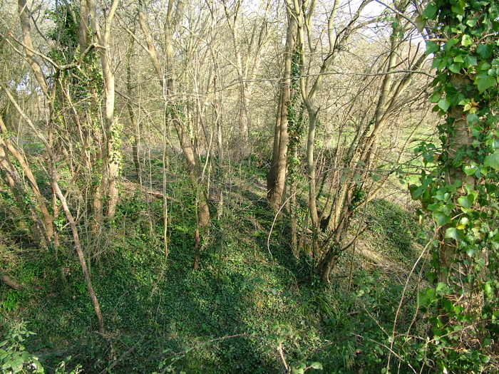 DSCF6141