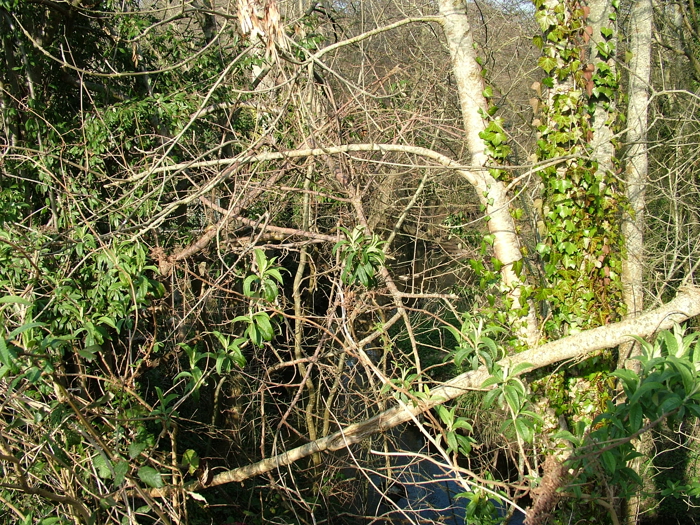 DSCF6143