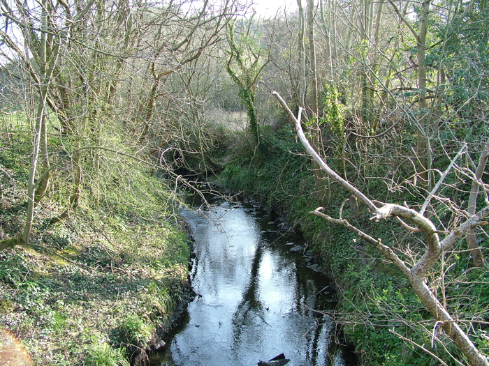 DSCF6144