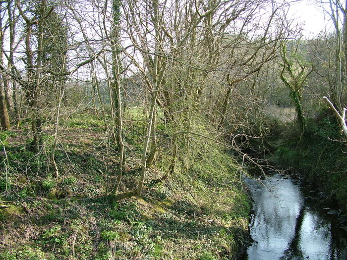 DSCF6146