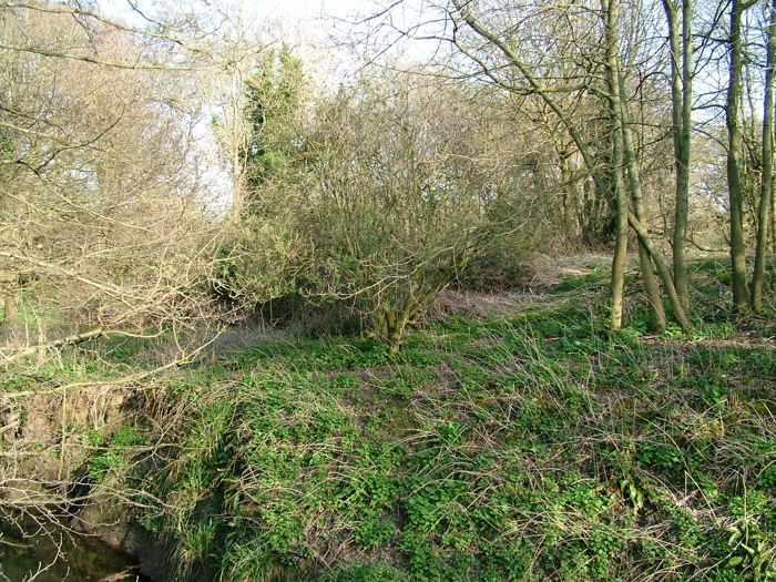 DSCF6149