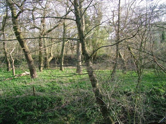 DSCF6150