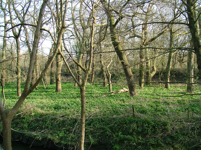 DSCF6151
