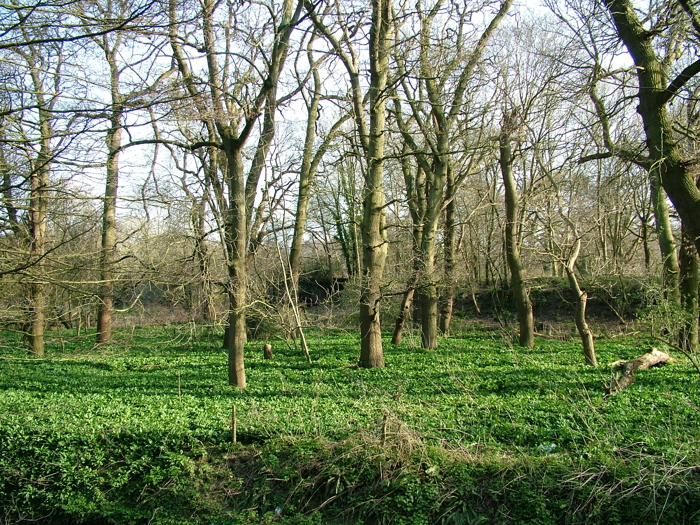 DSCF6152