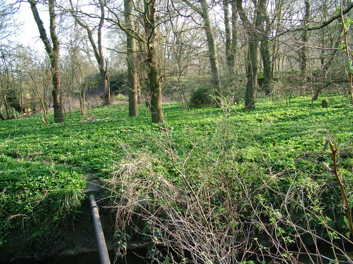 DSCF6153